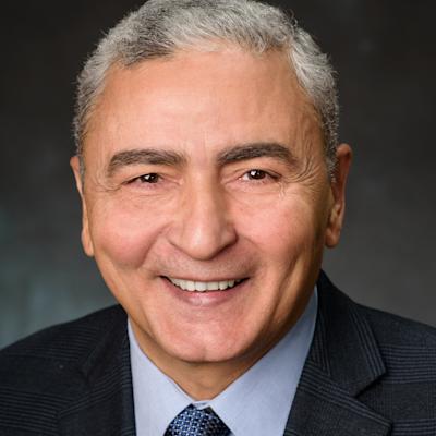 Faculty Advisor